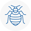 Bed Bug Extermination In Crayford