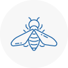 Bee Nest Removal Crayford