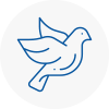 Bird Prevention Crayford
