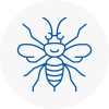 Crayford Hornet Nest Removals