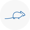 Mice Exterminators In Crayford