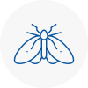 Moth Control Specialists In Crayford