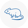Rat Control Crayford