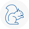 Crayford Rodent Removals